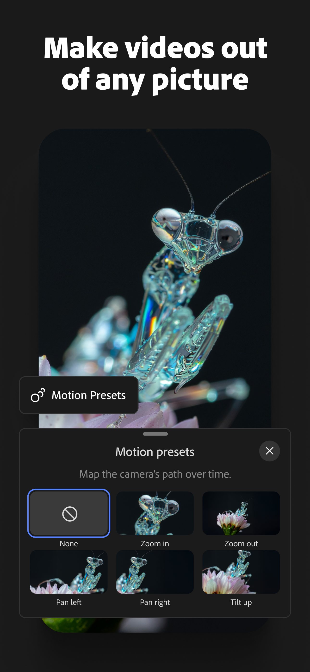 Adobe Firefly screenshot 3