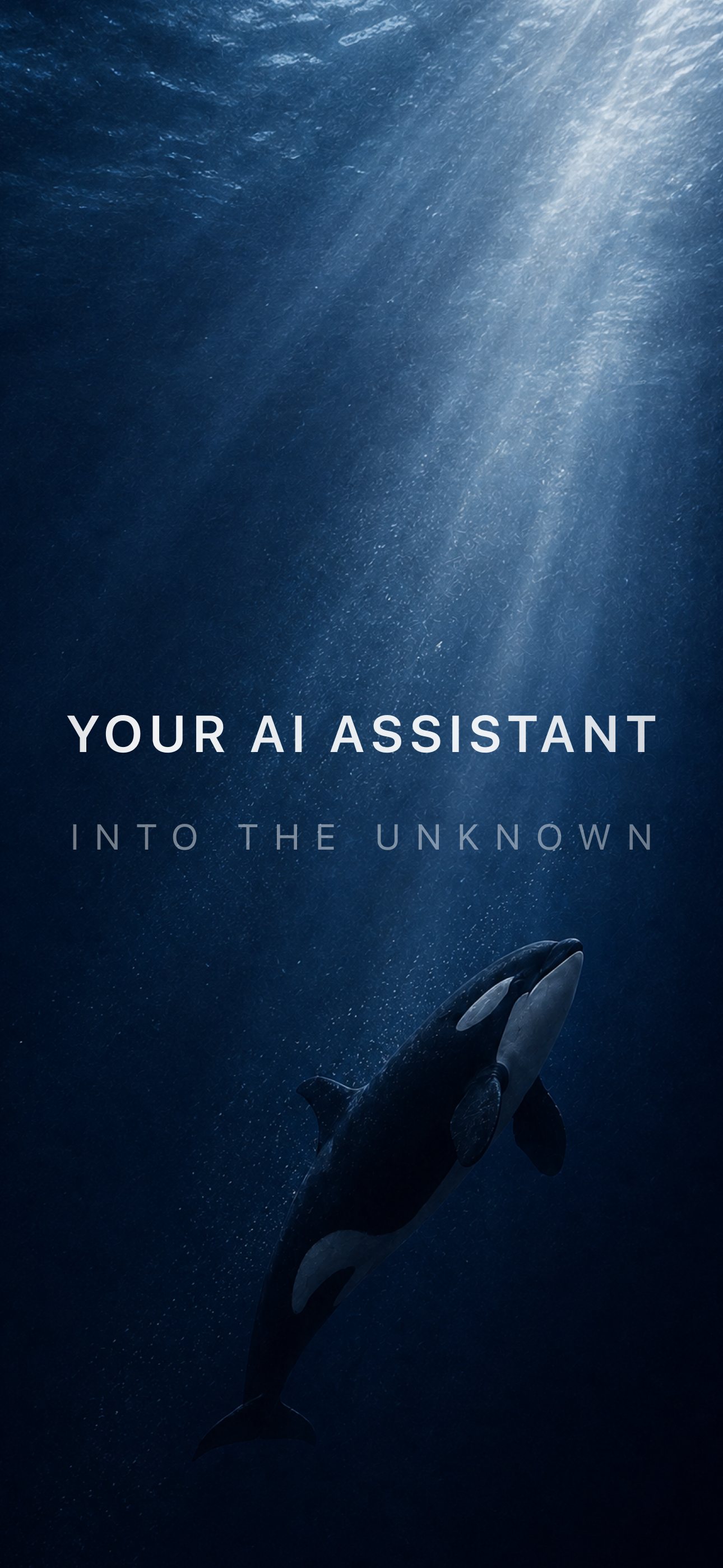 DeepSeek screenshot 1