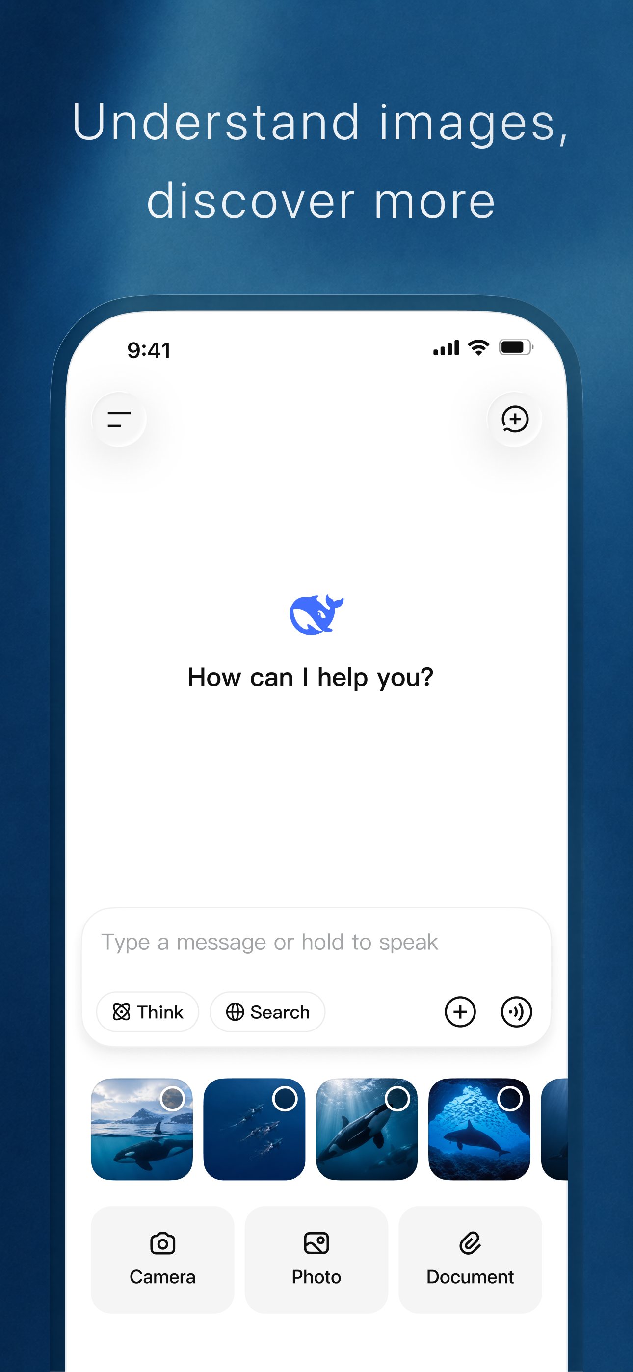 DeepSeek screenshot 2