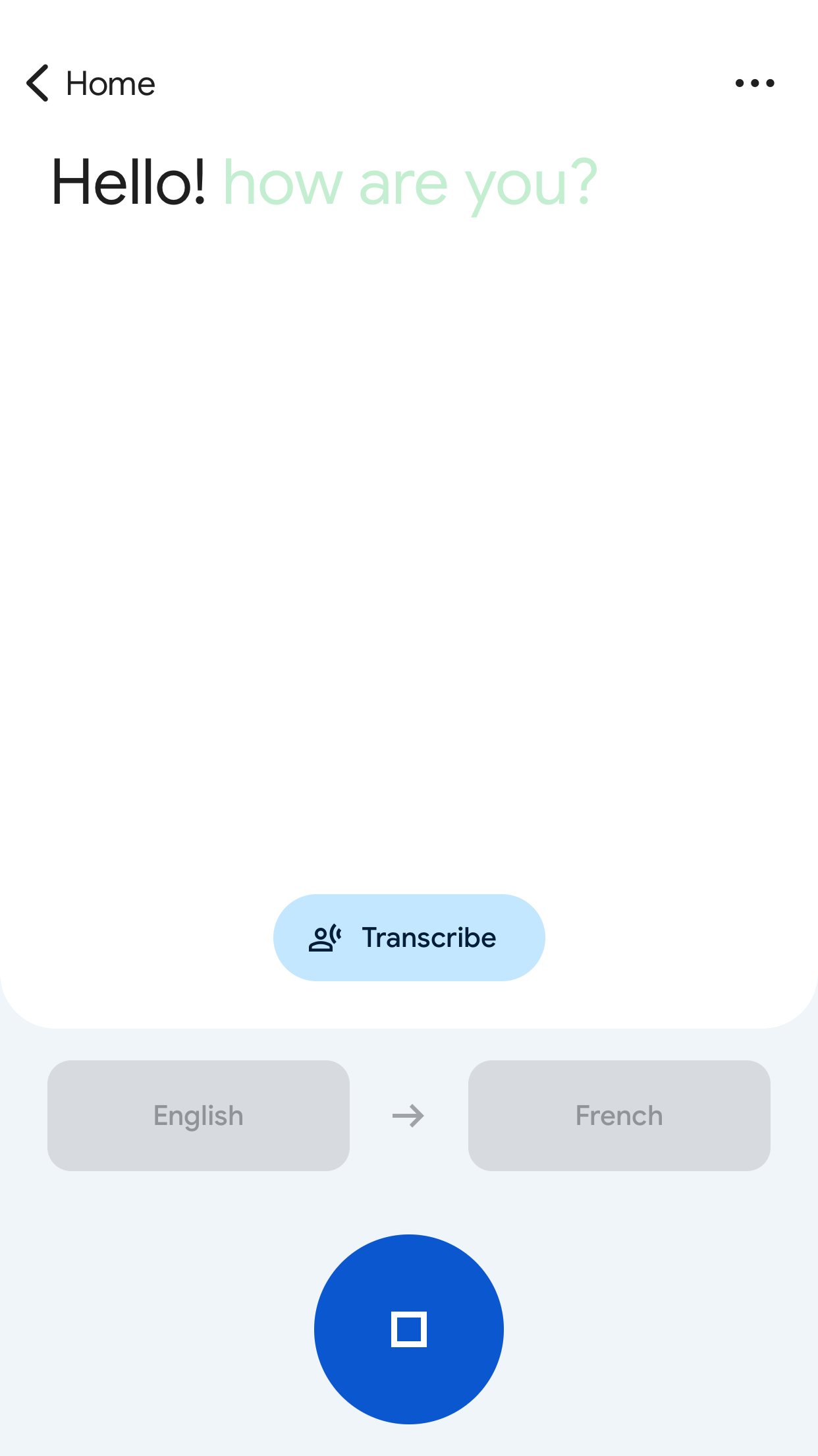 Google Translate screenshot 4